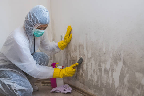 Best Water Damage & Mold Remediation  in China Grove, NC