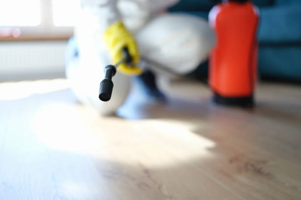 Best Real Estate Mold Inspection  in China Grove, NC